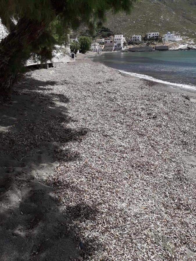 Kalymnos Beach House Panormos  Ngoại thất bức ảnh